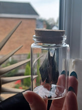 Load image into Gallery viewer, Resting Bat Glass Curio Jar