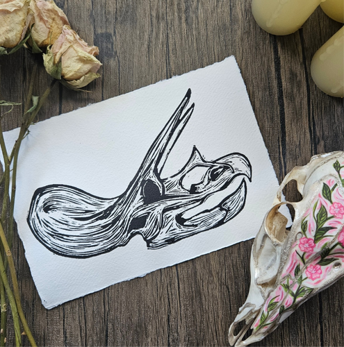 Sarah Skull (triceratops)