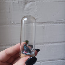 画像をギャラリービューアに読み込む, Pigeon Curio Jar