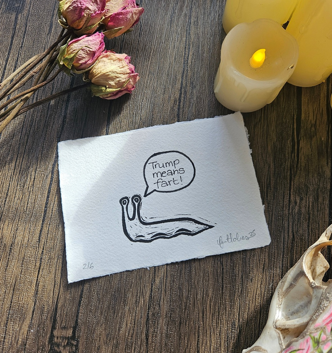 Trump means fart A6 print