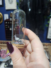 画像をギャラリービューアに読み込む, Pigeon Curio Jar