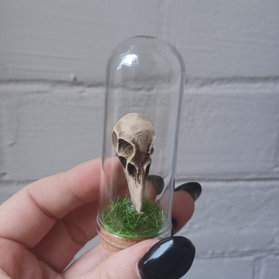 Raven Skull Curio Jar