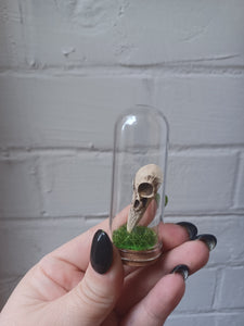 Raven Skull Curio Jar