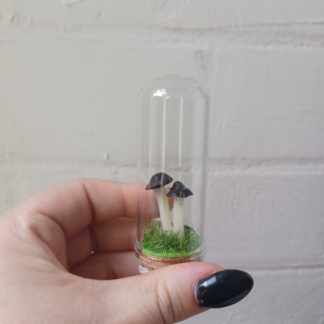 Death cap mushroom curio jar