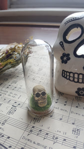 Skull in glass tube