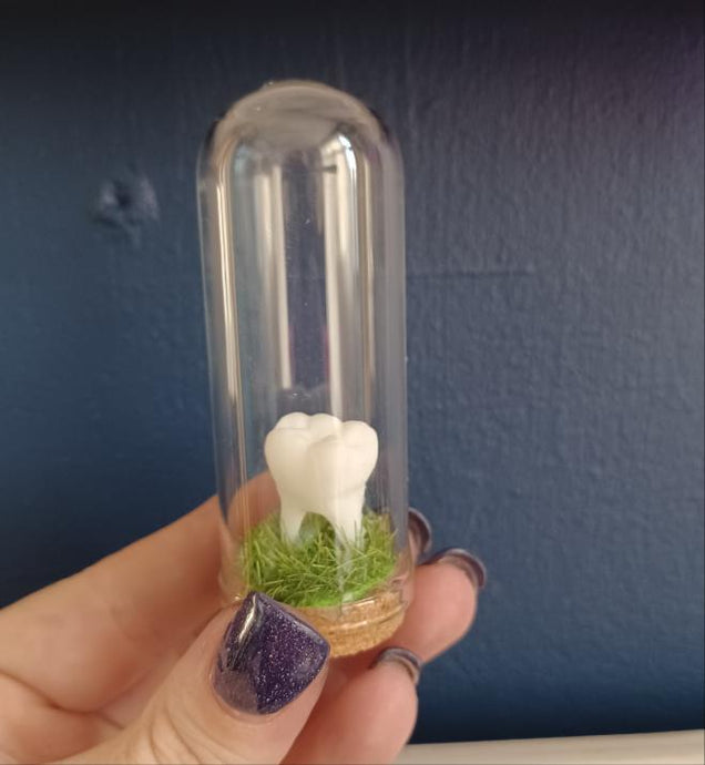 Tooth Glass Curio Jar